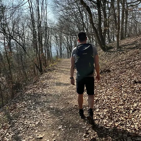 Apartmán Schoene Aussicht