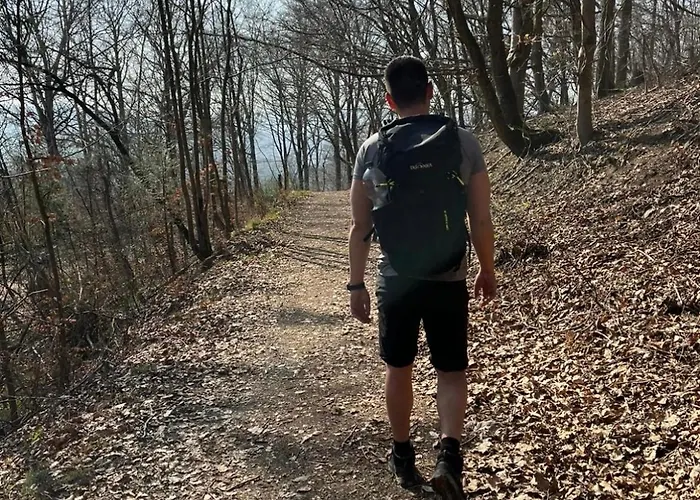 Daire Schoene Aussicht